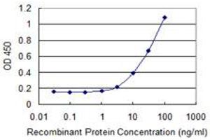 Detection limit for recombinant GST tagged RPS14 is 1 ng/ml as a capture antibody. (RPS14 Antikörper  (AA 45-144))