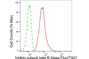 Flow cytometric analysis of inhibin subunit beta B expression in HT- cells using inhibin subunit beta B antibody (ABIN7800941), 1:2,000). (Rekombinanter Inhibin Subunit beta B Antikörper)