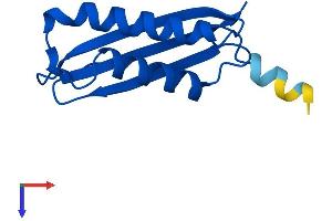 DYNLT1 Protein (AA 1-113) (His tag)
