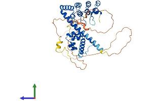 AlphaFold protein structure predicition of Human Recombinant ANKS4B Protein, UniprotID Q8N8V4 (ANKS4B Protein (AA 1-417) (His tag))