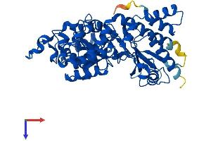 KYNU Protein (AA 1-465) (His tag)