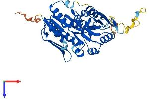 PRPSAP2 Protein (AA 1-369) (His tag)