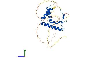 Protein Structure (PS) image for Sex Determining Region Y (SRY) (AA 1-204) protein (His tag) (ABIN7546284)
