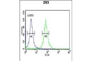 PKM2 (N-term ) Antibody (ABIN653018 and ABIN2842641) flow cytometric analysis of 293 cells (right histogram) compared to a negative control cell (left histogram).