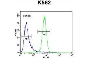C6orf58 Antibody (Center) flow cytometric analysis of K562 cells (right histogram) compared to a negative control cell (left histogram). (C6ORF58 Antikörper  (Middle Region))