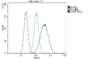 Flow Cytometry analysis of U87 cells using anti-COMT antibody (ABIN7601948). (COMT Antikörper  (AA 52-271))