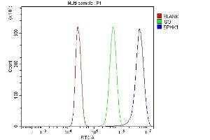 Flow Cytometry analysis of HepG2 cells using anti-SPHK1 antibody (ABIN7602016).