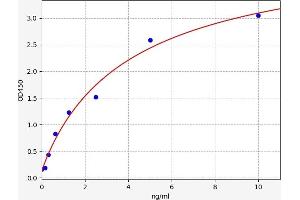 Typical standard curve (RAP1B ELISA Kit)