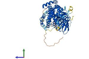 AlphaFold protein structure predicition of Human Recombinant EHD2 Protein, UniprotID Q9NZN4
