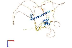DMRTA1 Protein (AA 1-504) (His tag)
