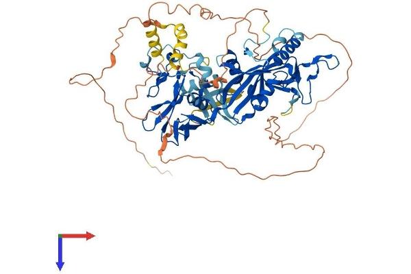Tiparp Protein (AA 1-657) (His tag)