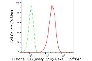 Flow cytometric analysis of Histone H2B (acetyl K16) expression in HepG2 cells using Histone H2B (acetyl K16) antibody (ABIN7798943), 1:2,000). (Rekombinanter Histone H2B Antikörper  (H2BK16ac))