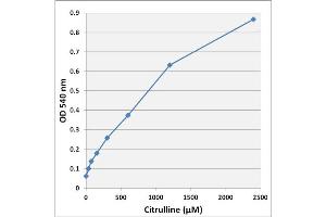 Citrulline standard curve
