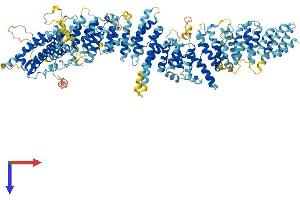 MMS22-Like, DNA Repair Protein (MMS22L) (AA 1-1238) protein (His tag)