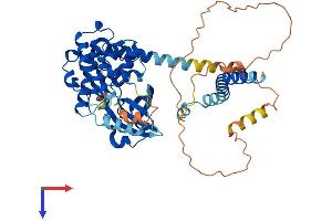 STK4 Protein (AA 1-487) (His tag)
