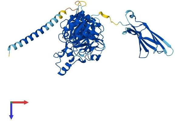 C3orf39 Protein (AA 1-580) (His tag)