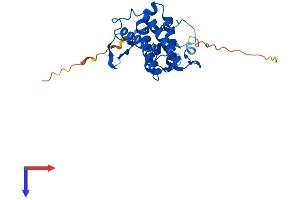 MOB2 Protein (AA 1-235) (His tag)