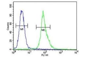 AKT1 antibody flow cytometric analysis of MDA-MB435 cells (right histogram) compared to a negative control (left histogram).