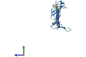 Protein Structure (PS) image for Ribosomal Protein S6 (RPS6) (AA 1-249) protein (His tag) (ABIN7556615)
