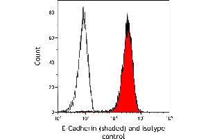 Flow Cytometry (FACS) image for anti-Cadherin 1, Type 1, E-Cadherin (Epithelial) (CDH1) (AA 155-707) antibody (ABIN7455206)