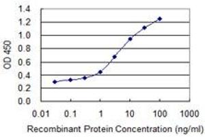 Detection limit for recombinant GST tagged COL1A1 is 0. (COL1A1 Antikörper  (AA 1021-1108))