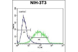 Flow cytometric analysis of NIH-3T3 cells (right histogram) compared to a negative control cell (left histogram). (GCNT3 Antikörper  (C-Term))