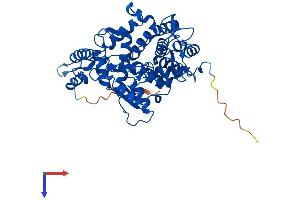 FNTB Protein (AA 1-437) (His tag)