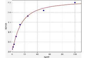 CPB2 ELISA Kit