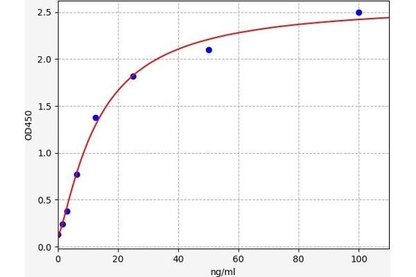 CPB2 ELISA Kit