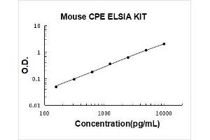 Carboxypeptidase E (CPE) ELISA Kit