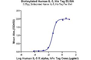 Immobilized Biotinylated Human IL-5, His Tag at 0. (IL-5 Protein (AA 20-134) (His-Avi Tag,Biotin))