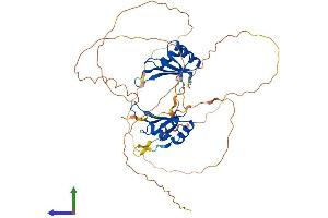 Protein Structure (PS) image for RNA Binding Motif, Single Stranded Interacting Protein 3 (RBMS3) (AA 1-437) protein (His tag) (ABIN7551273)