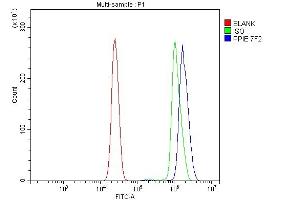 Flow Cytometry analysis of U937 cells using anti-Cyclophilin E/PPIE antibody (ABIN7599243). (PPIE Antikörper  (AA 1-301))