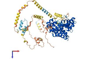 PEX5 Protein (AA 1-639) (His tag)