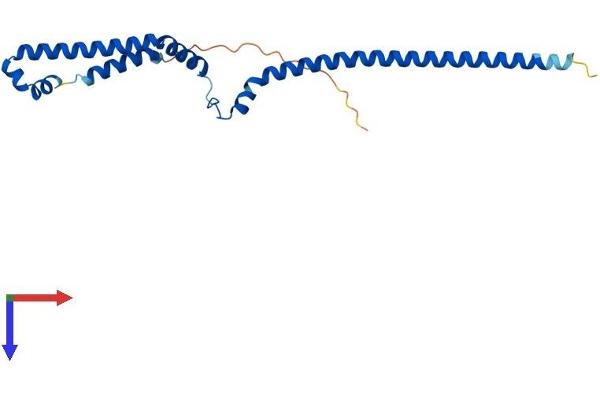 PMF1 Protein (AA 1-202) (His tag)
