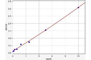 TXNDC5 ELISA Kit