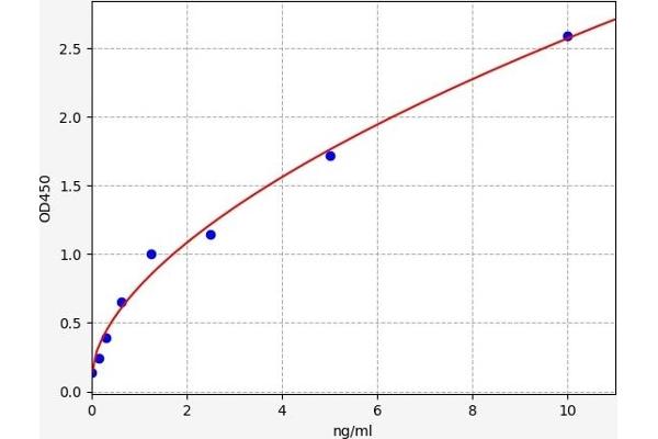 CCR1 ELISA Kit