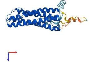 AlphaFold protein structure predicition of Mouse Recombinant Scamp4 Protein, UniprotID Q9JKV5 (SCAMP4 Protein (AA 1-230) (His tag))