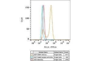 Flow cytometry: U937 cells were stained with Rabbit IgG isotype control (, 10 μg/mL, blue line) or CD8A Rabbit mAb (ABIN1512846, ABIN3021030, ABIN3021031 and ABIN7101333, 10 μg/mL orange line), followed by FITC conjugated goat anti-Rabbit pAb (1:200 dilution) staining. (CD8 alpha Antikörper)
