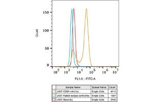 CD8 alpha Antikörper