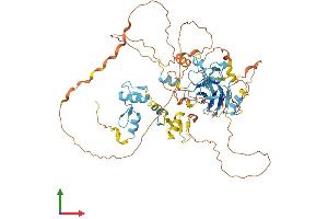 AlphaFold protein structure predicition of Human Recombinant PRDM6 Protein, UniprotID Q9NQX0