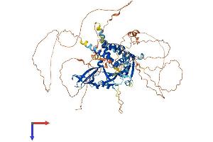 USP1 Protein (AA 1-785) (His tag)