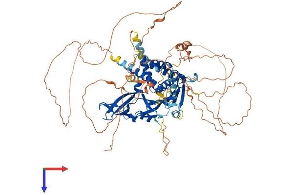 USP1 Protein (AA 1-785) (His tag)
