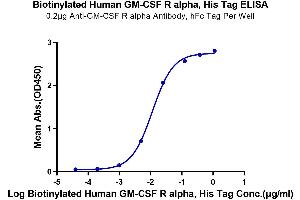 Immobilized Anti-GM-CSF R alpha Antibody, hFc Tag at 2 μg/mL (100 μL/well) on the plate.