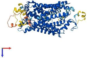 TAUT Protein (AA 1-620) (His tag)