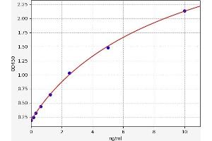 PDE1C ELISA Kit