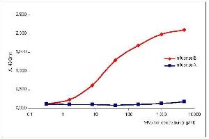 Titration curve of ABIN235671 specific to NP of Influenza B virus in indirect ELISA. (Influenza Nucleoprotein Antikörper (Influenza B Virus))