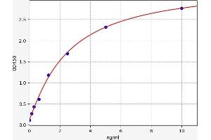 Typical standard curve (CSNK2A1/CK II alpha ELISA Kit)