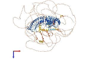 ERBB2IP Protein (AA 1-1412) (His tag)