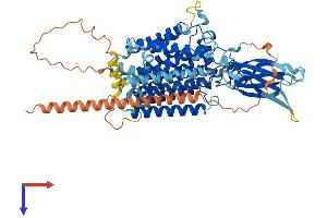 HGSNAT Protein (AA 1-663) (His tag)